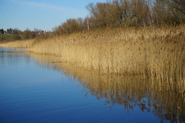 Mart ayında Habermannsee Gölü manzarası muhteşem bir bitki örtüsüyle birlikte. Kaulsdorfer Baggersee, Berlin, Almanya