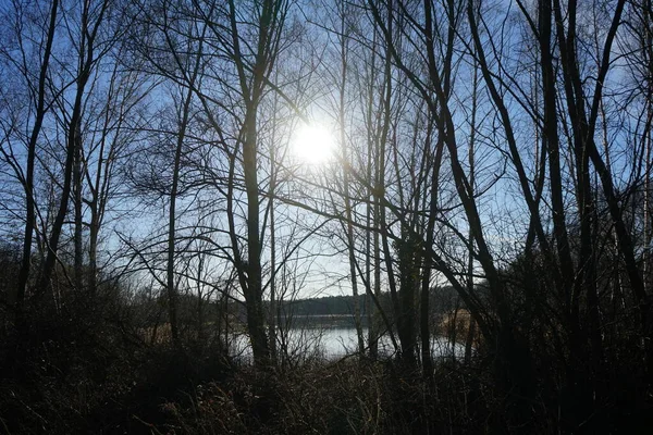 Vista Sul Lago Habermannsee Con Magnifica Vegetazione Nel Mese Marzo — Foto Stock