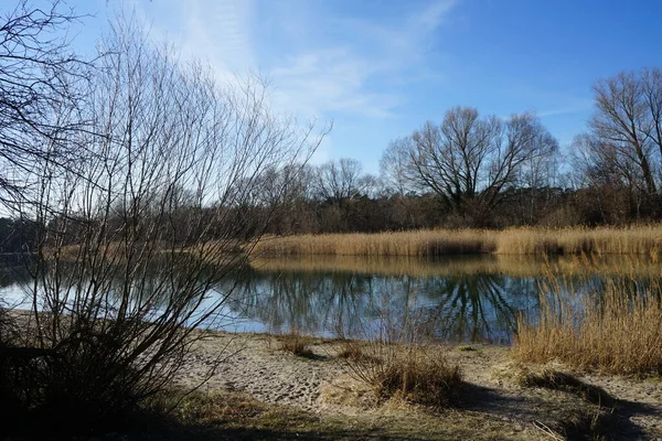 Blick Auf Den Habermannsee Mit Herrlicher Vegetation März Kaulsdorfer Baggersee — Stockfoto