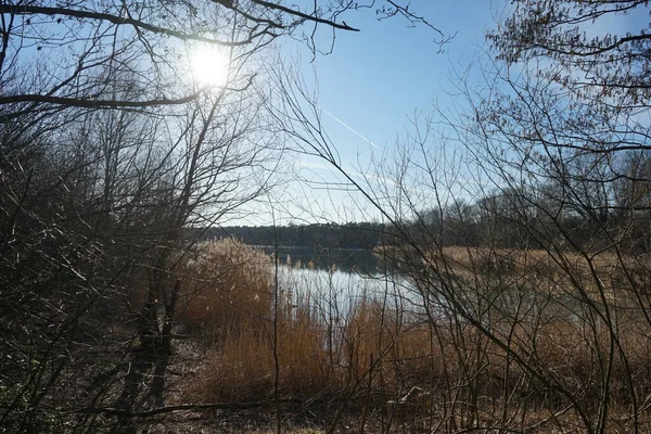 Vista Sul Lago Habermannsee Con Magnifica Vegetazione Nel Mese Marzo — Foto Stock