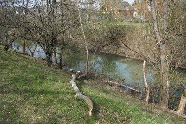 Bahar bitkileriyle çevrili Wuhle nehri. Berlin, Almanya 
