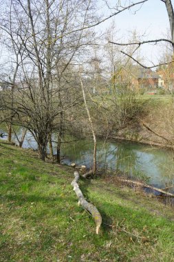 Bahar bitkileriyle çevrili Wuhle nehri. Berlin, Almanya 