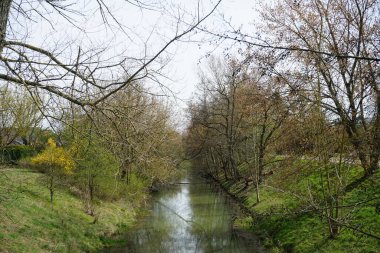 Bahar bitkileriyle çevrili Wuhle nehri. Berlin, Almanya 