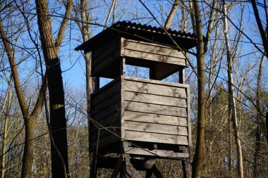 Mart 'ta ormandaki avcılık ve gözlem odunu kulesi. Berlin, Almanya 