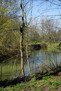 Dar nehir Wuhle ve çevresindeki bitki örtüsüyle manzara. Berlin, Almanya