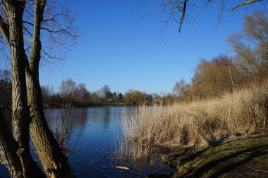 Wuhlesee Gölü ve çevresindeki bitki örtüsüyle muhteşem bir manzara. Marzahn-Hellersdorf, Berlin, Almanya