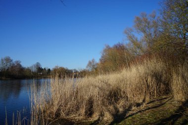 Wuhlesee Gölü ve çevresindeki bitki örtüsüyle muhteşem bir manzara. Marzahn-Hellersdorf, Berlin, Almanya