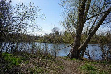 Wuhlesee Gölü ve çevresindeki bitki örtüsüyle muhteşem bir manzara. Marzahn-Hellersdorf, Berlin, Almanya 