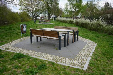 Nisan ayında çiçek açan Spiraea thunbergii çalılarıyla çevrili masaları ve bankları olan bir oturma alanı. Spiraea thunbergii, Thunberg spiraea veya Thunberg 's Meadowsweet, gülgiller (Felidae) familyasından bir bitki türü. Berlin, Almanya
