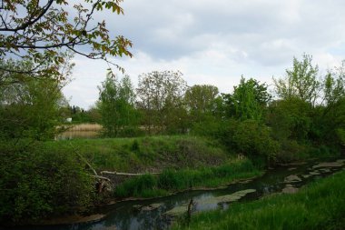 A beautiful landscape with the Wuhle River and its surrounding vegetation in May. Berlin, Germany 