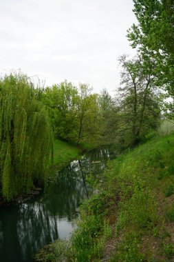 A beautiful landscape with the Wuhle River and its surrounding vegetation in May. Berlin, Germany 