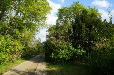 A beautiful landscape with the Wuhle River and its surrounding vegetation in May. Berlin, Germany 