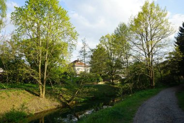 A beautiful landscape with the Wuhle River and its surrounding vegetation in May. Berlin, Germany 