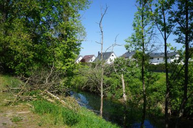 A beautiful landscape with the Wuhle River and its surrounding vegetation in May. Berlin, Germany 