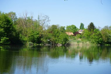 View of Lake Wuhlesee with birds and plants in May. Marzahn-Hellersdorf, Berlin, Germany
