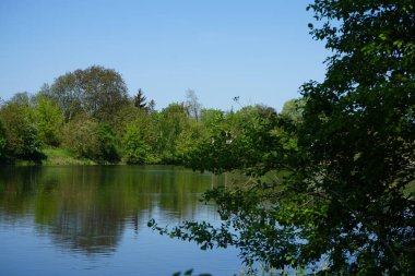 View of Lake Wuhlesee with birds and plants in May. Marzahn-Hellersdorf, Berlin, Germany