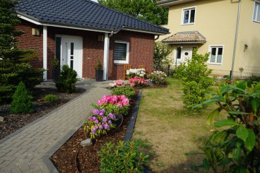 Rododendronlar Mayıs ayında bahçede çiçek açarlar. Rhododendron, çalıgiller (Ericaceae) familyasından ağaçsı bir bitki cinsidir. Berlin, Almanya 