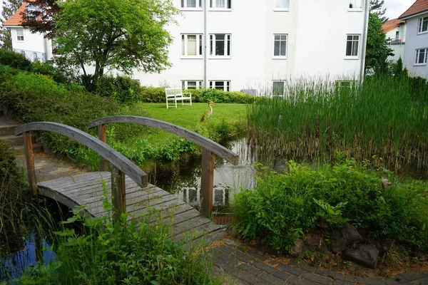 Mały Staw Roślinnością Czerwcu Podwórku Wśród Budynków Mieszkalnych Berlin Niemcy — Zdjęcie stockowe