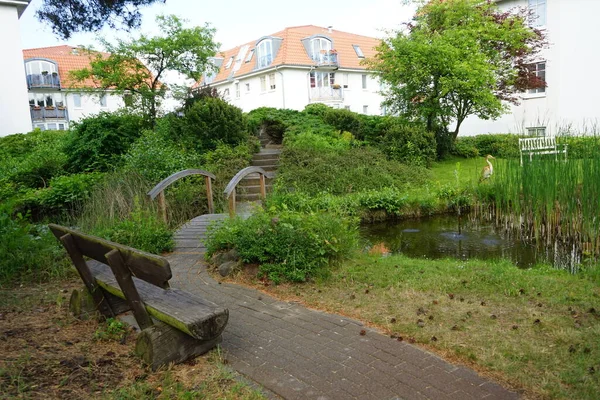 アパートの建物の間の庭に6月に植生のある小さな池 ドイツ ベルリン — ストック写真