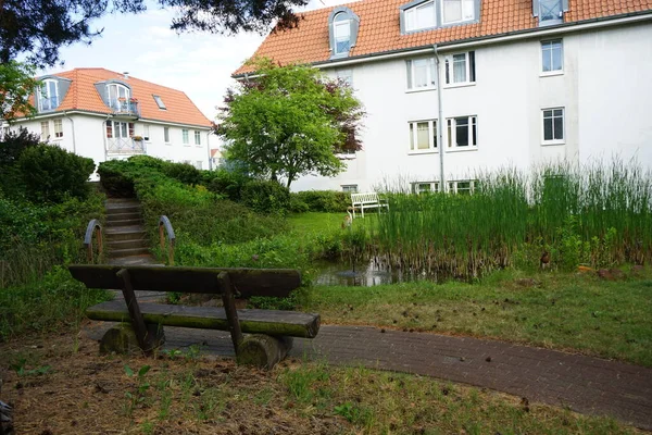 Een Kleine Vijver Met Vegetatie Juni Tuin Tussen Appartementengebouwen Berlijn — Stockfoto