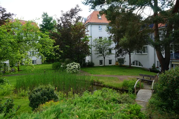 Small Pond Vegetation June Yard Apartment Buildings Berlin Germany — Stock Photo, Image