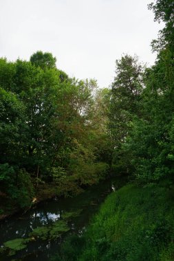 Wuhle Nehri ve çevresindeki bitki örtüsüyle manzara. Berlin, Almanya 