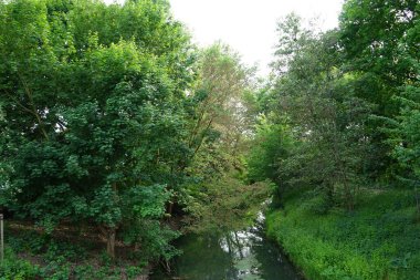 Wuhle Nehri ve çevresindeki bitki örtüsüyle manzara. Berlin, Almanya 