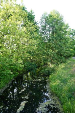 Wuhle Nehri ve çevresindeki bitki örtüsüyle manzara. Berlin, Almanya 