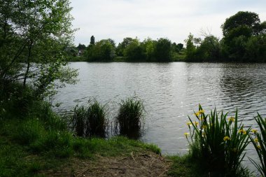 Haziran başında yemyeşil bitki örtüsü olan Wuhlesee Gölü. Berlin, Almanya 