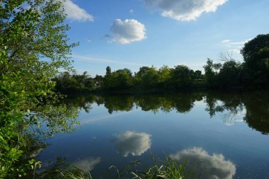 Haziran başında yemyeşil bitki örtüsü olan Wuhlesee Gölü. Berlin, Almanya 