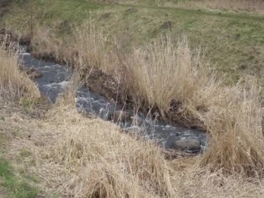 Mart 'ta Doğa Parkı' ndaki Wuhle nehri 