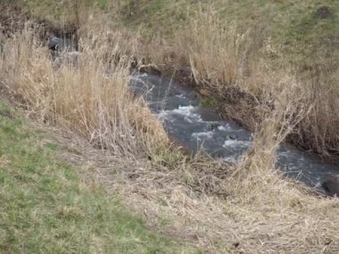 Mart 'ta Doğa Parkı' ndaki Wuhle nehri 