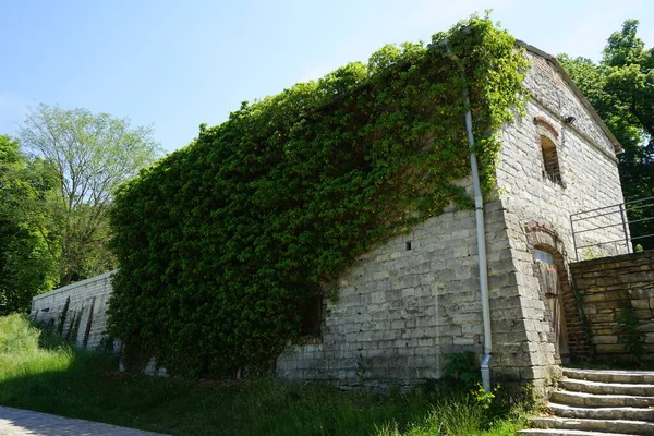 Historisches Nebengebäude Mit Kletterpflanzen Der Nähe Des Hauses Des Ehemaligen — Stockfoto