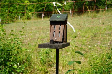 Minyatür ahşap bir ev turist rotasında bir konum belirleyici olarak kullanılıyor. Ruedersdorf bei Berlin, Almanya 