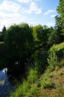 Haziran 'da Wuhle Nehri ve çevresindeki bitki örtüsüyle güzel bir manzara. Berlin, Almanya