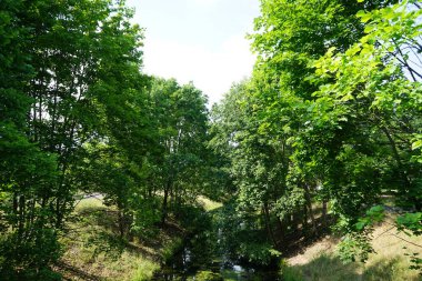 Haziran 'da Wuhle Nehri ve çevresindeki bitki örtüsü ile manzara. Berlin, Almanya 