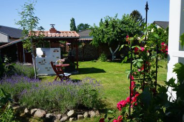Haziran ayında kırmızı tırmanma gülü, mavi lavanta çiçekleri ve diğer bitkiler bahçede yetişir. Berlin, Almanya