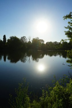 Wuhlesee Gölü Haziran 'da gün batımında yemyeşil bitki örtüsüyle çevrilidir. Berlin, Almanya 