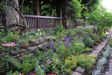 Wisteria ile kaplanmış kemerli çardak boyunca Volkspark Humboldthain halk parkında çiçek sınırları vardır. Berlin, Almanya  