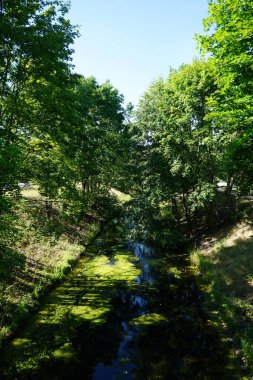Sığ Wuhle Nehri Temmuz ayında yaz bitkileriyle çevrilidir. Berlin, Almanya