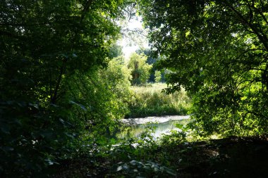 Sığ Wuhle Nehri Temmuz ayında yaz bitkileriyle çevrilidir. Wuhle, Spree 'nin küçük bir sağ koludur. Berlin, Almanya