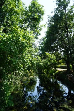 Sığ Wuhle Nehri Temmuz ayında yaz bitkileriyle çevrilidir. Wuhle, Spree 'nin küçük bir sağ koludur. Berlin, Almanya