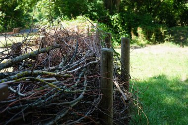 Ölü çit, Berlin 'in dinlenme alanındaki Wuhle Nehri civarında yer almaktadır. Ölü çit, kesilmiş dallar, fidanlar ve yapraklardan yapılmış bir bariyerdir. Berlin, Almanya