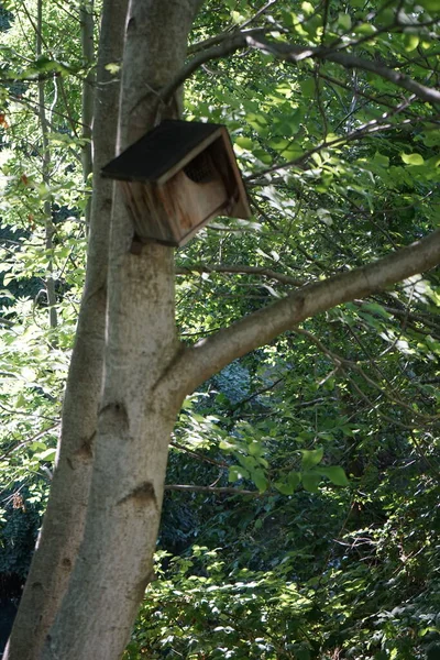 Birdhouse hangs on a tree. A nest box, nestbox, birdhouses or a birdbox, bird box, is a man-made enclosure provided for animals to nest in. Berlin, Germany