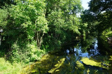 Sığ Wuhle Nehri Temmuz ayında yaz bitkileriyle çevrilidir. Wuhle, Spree 'nin küçük bir sağ koludur. Berlin, Almanya 