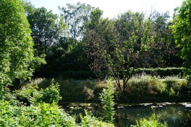 Sığ Wuhle Nehri Temmuz ayında yaz bitkileriyle çevrilidir. Wuhle, Spree 'nin küçük bir sağ koludur. Berlin, Almanya 