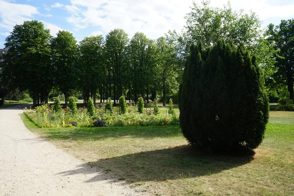 Plantas Magníficas Crescem Parque Sanssouci Parque Sanssouci Grande Parque Redor — Fotografia de Stock
