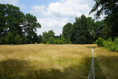 Park Sanssouci 'deki doğal manzara. Sanssouci Parkı 1700 'lerin ortalarında Büyük Frederick' in altında inşa edilen Sanssouci Sarayı 'nı çevreleyen büyük bir parktır. Potsdam, Almanya 