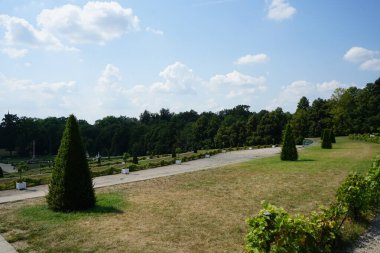Tarihi bir parkta muhteşem bir bitki örtüsüyle güzel bir manzara. Sanssouci Parkı 1700 'lerin ortalarında Büyük Frederick' in altında inşa edilen Sanssouci Sarayı 'nı çevreleyen büyük bir parktır. Potsdam, Almanya 