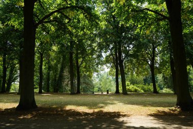 Tarihi bir parkta muhteşem bir bitki örtüsüyle güzel bir manzara. Sanssouci Parkı 1700 'lerin ortalarında Büyük Frederick' in altında inşa edilen Sanssouci Sarayı 'nı çevreleyen büyük bir parktır. Potsdam, Almanya 